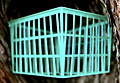 Strawberry Basket Square Pint Resize